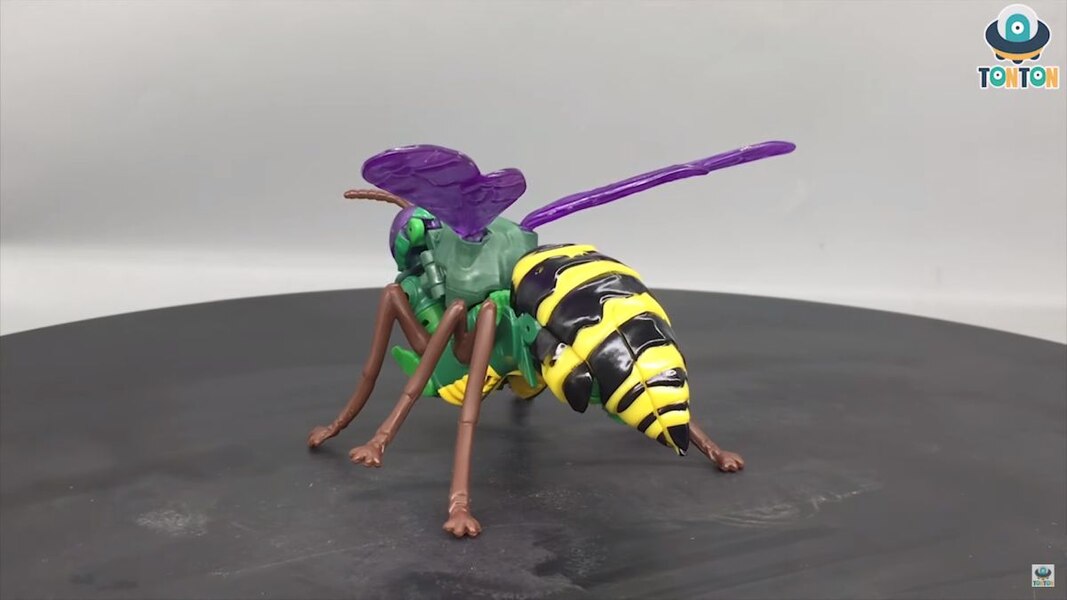 Transformers Kingdom Deluxe Class Waspinator  (28 of 35)
